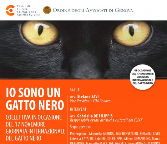 IO SONO UN GATTO NERO