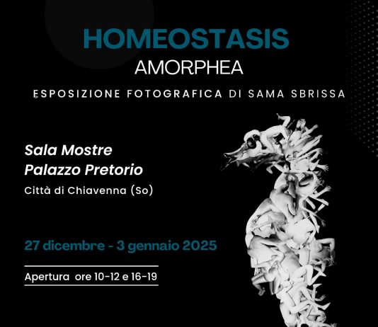 Sama Sbrissa – HOMEOSTASIS – Amorphea