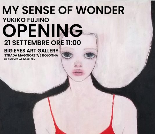 YUKIKO FUJINO – MY SENSE OF WONDER