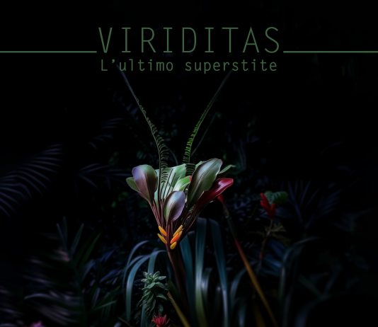 VIRIDITAS – L’ultimo superstite