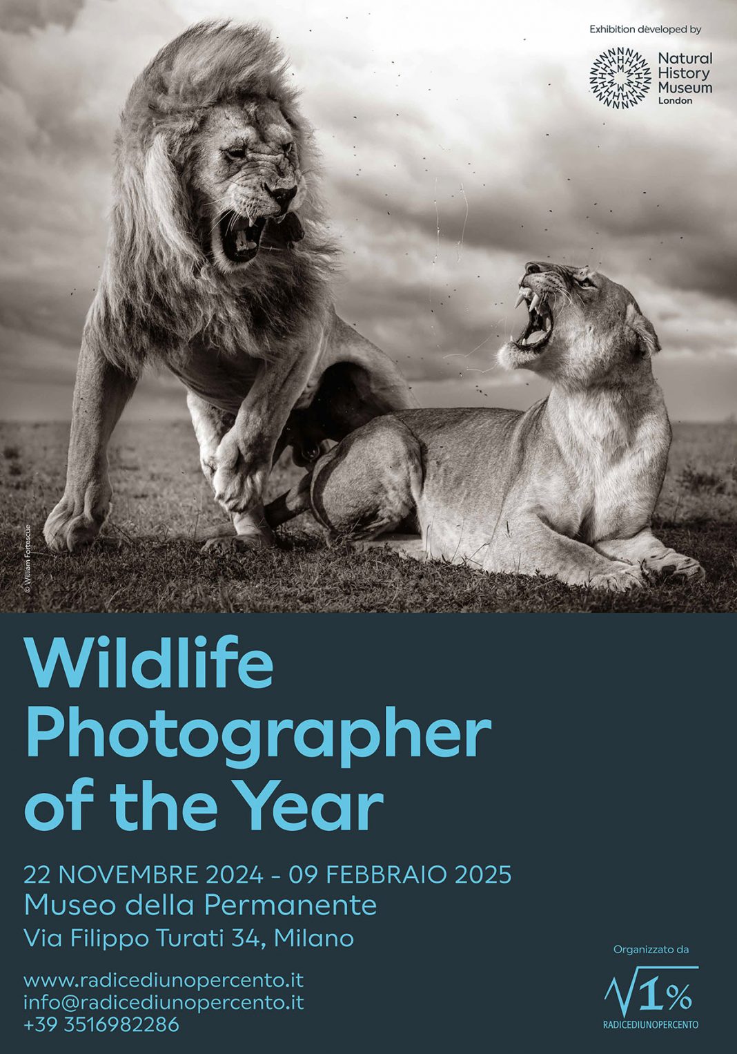 60° Wildlife Photographer of The Year a Milanohttps://www.exibart.com/repository/media/formidable/11/img/ea5/Locandina-WPY60-©William-Fortescue-1068x1526.jpg